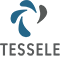 https://capitalhr.com.au/wp-content/uploads/2025/06/tessele-logo-solidcolour@3xsmall.png