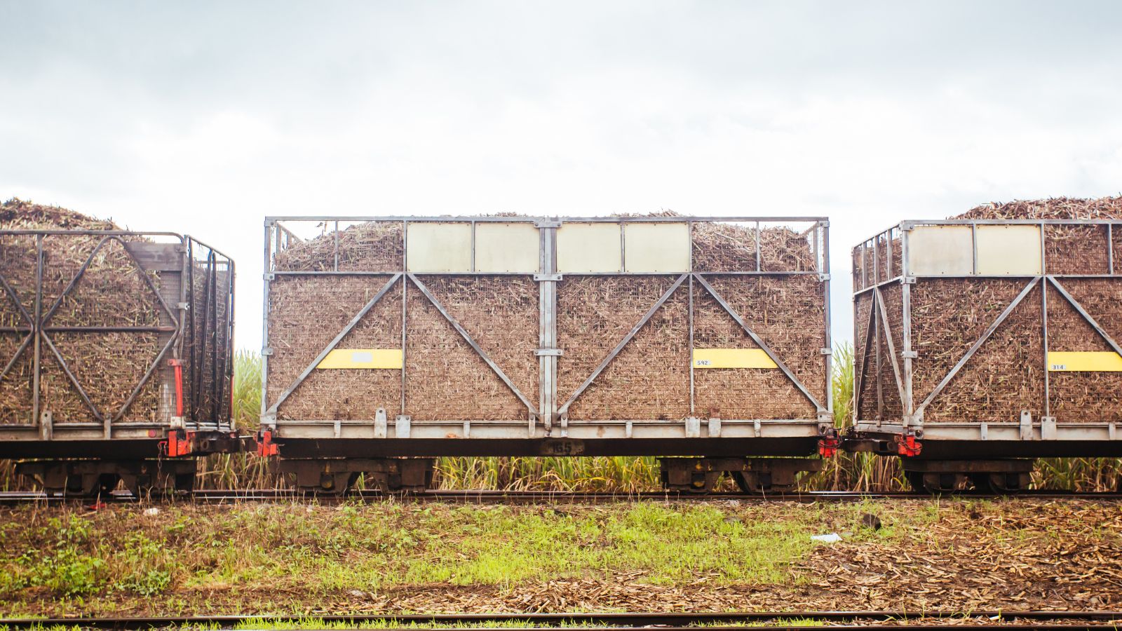 https://capitalhr.com.au/wp-content/uploads/2026/02/Sugarcane-train.jpg